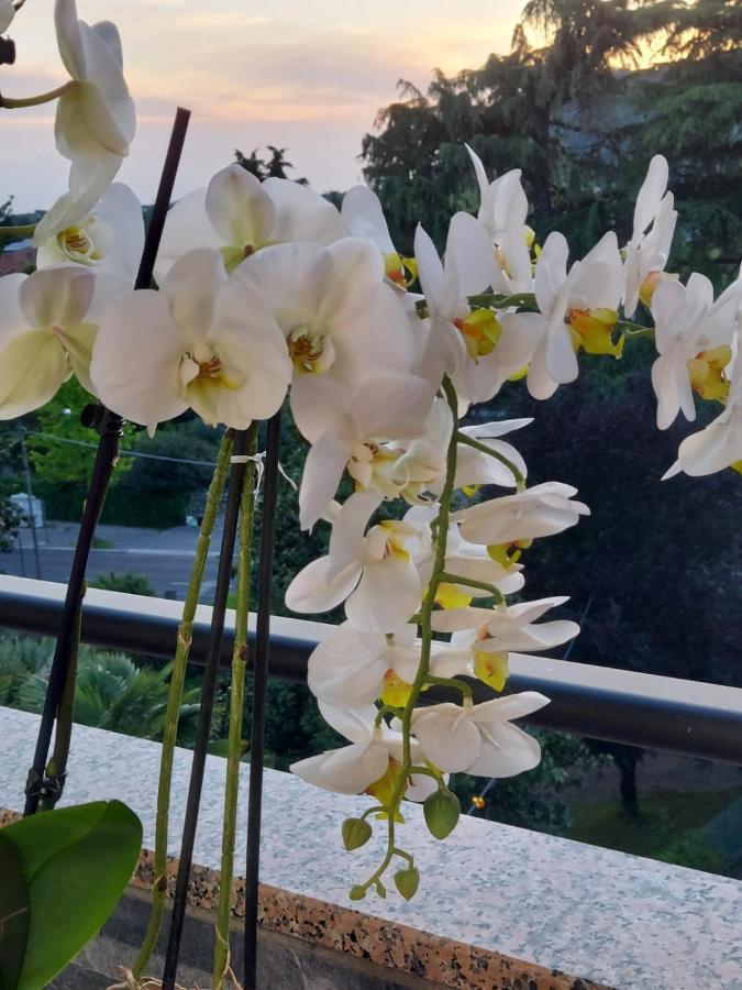 Alloggio Orchidea Monfalcone Dış mekan fotoğraf